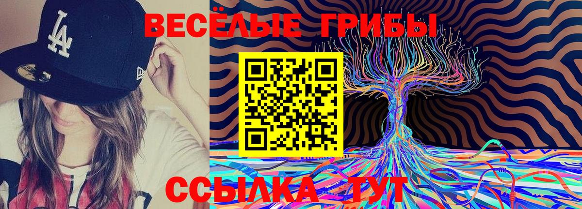 Галлюциногенные грибы MAGIC MUSHROOMS  Вход с VPN  Тулун 