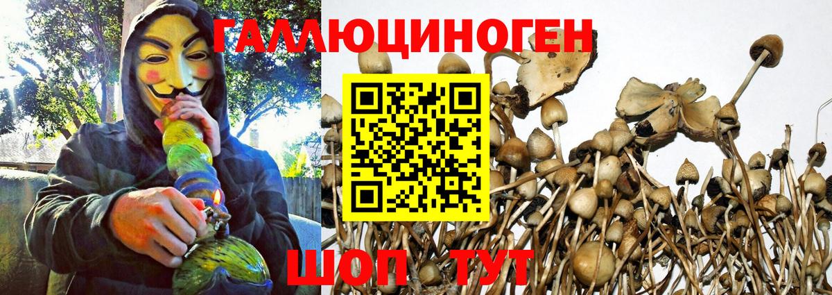 Псилоцибиновые грибы мухоморы Тулун